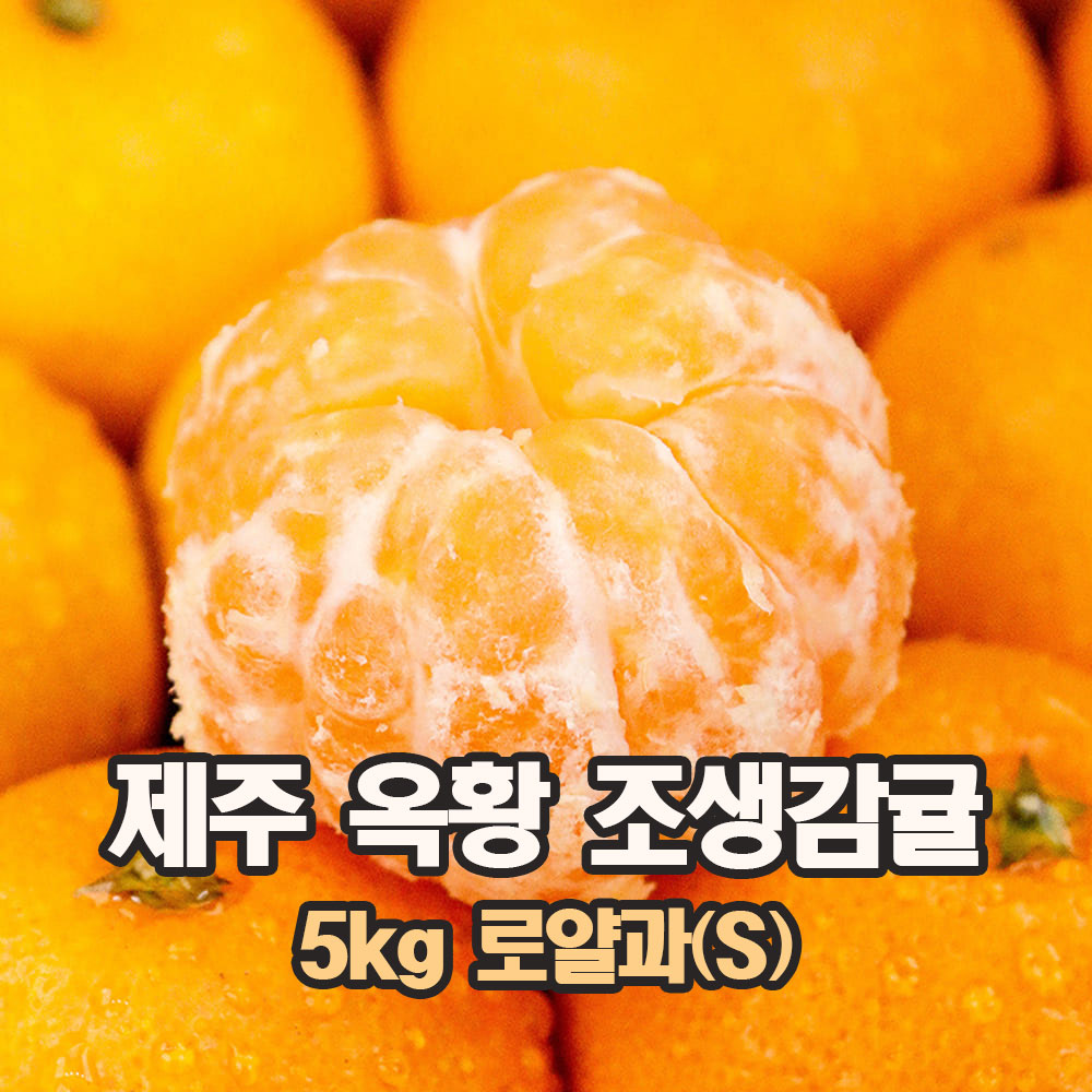 1765782104 thumbnail