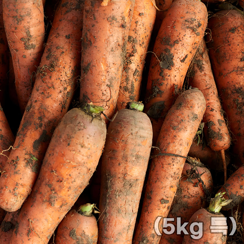 1765946152 thumbnail