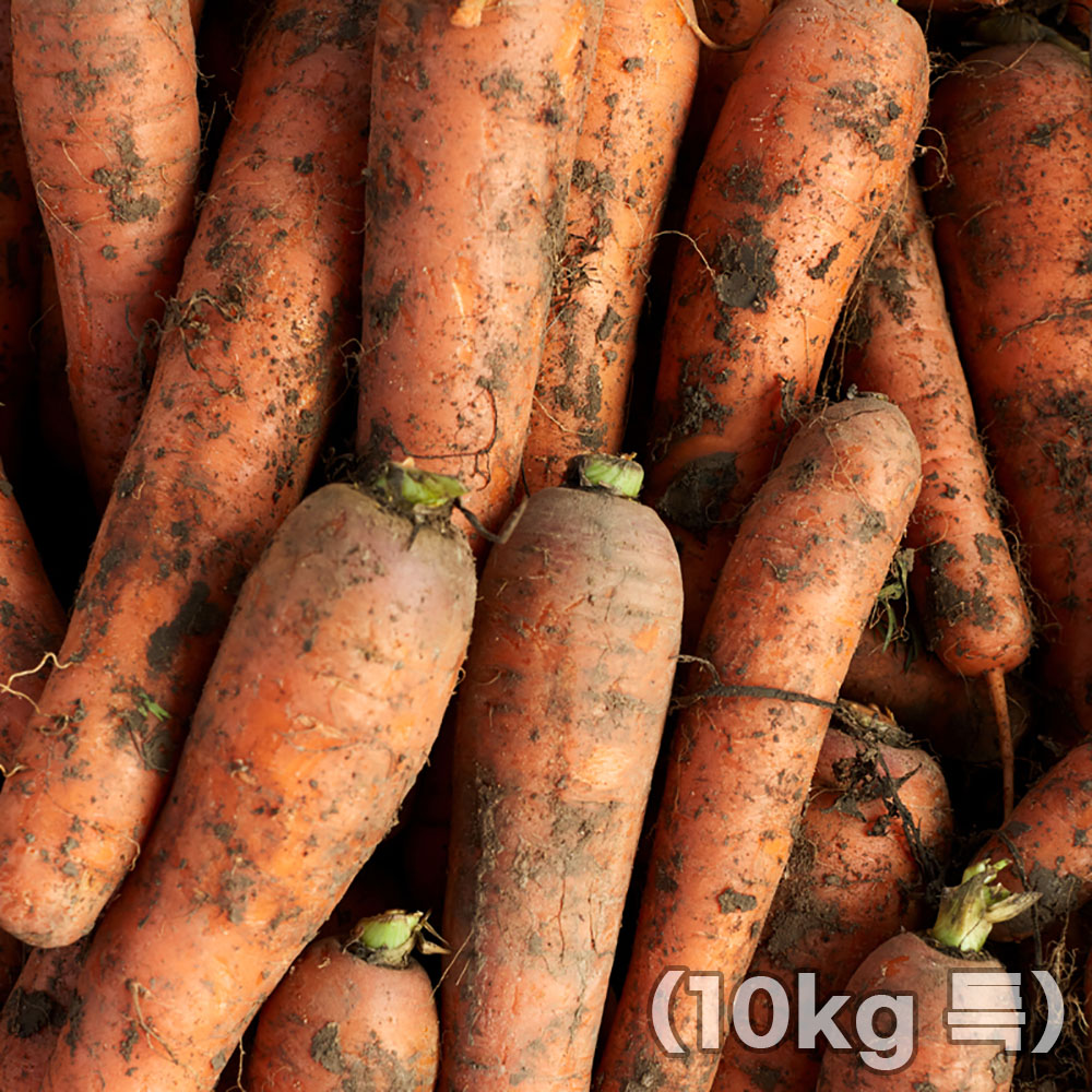 1765946153 thumbnail