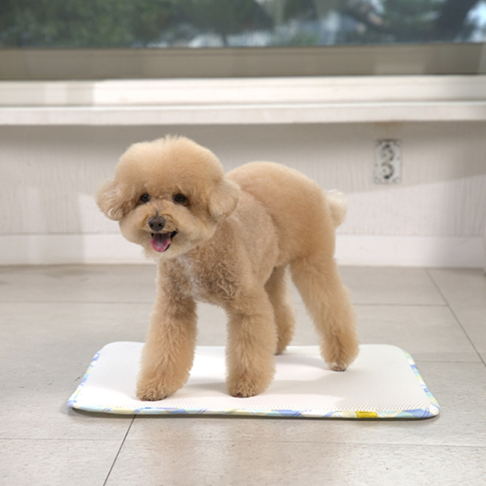 1765946178 thumbnail