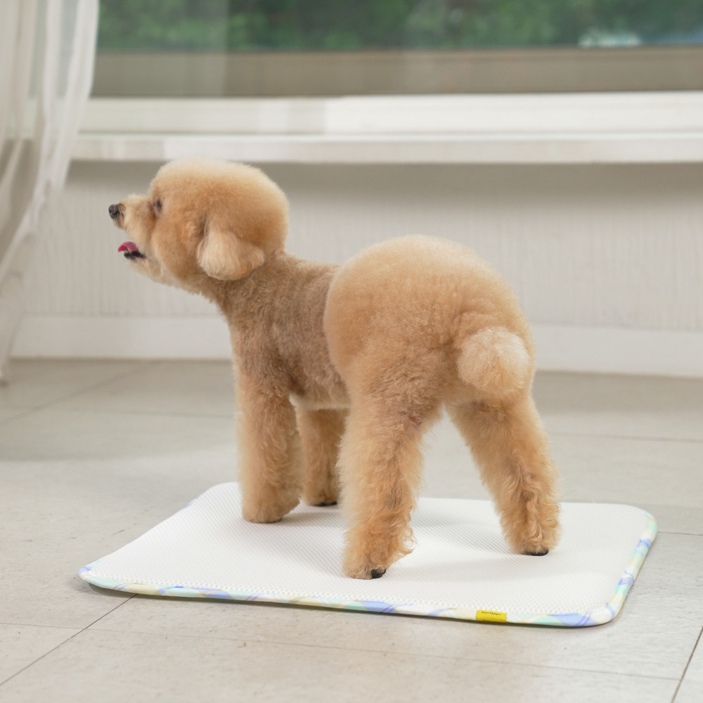 1765946179 thumbnail