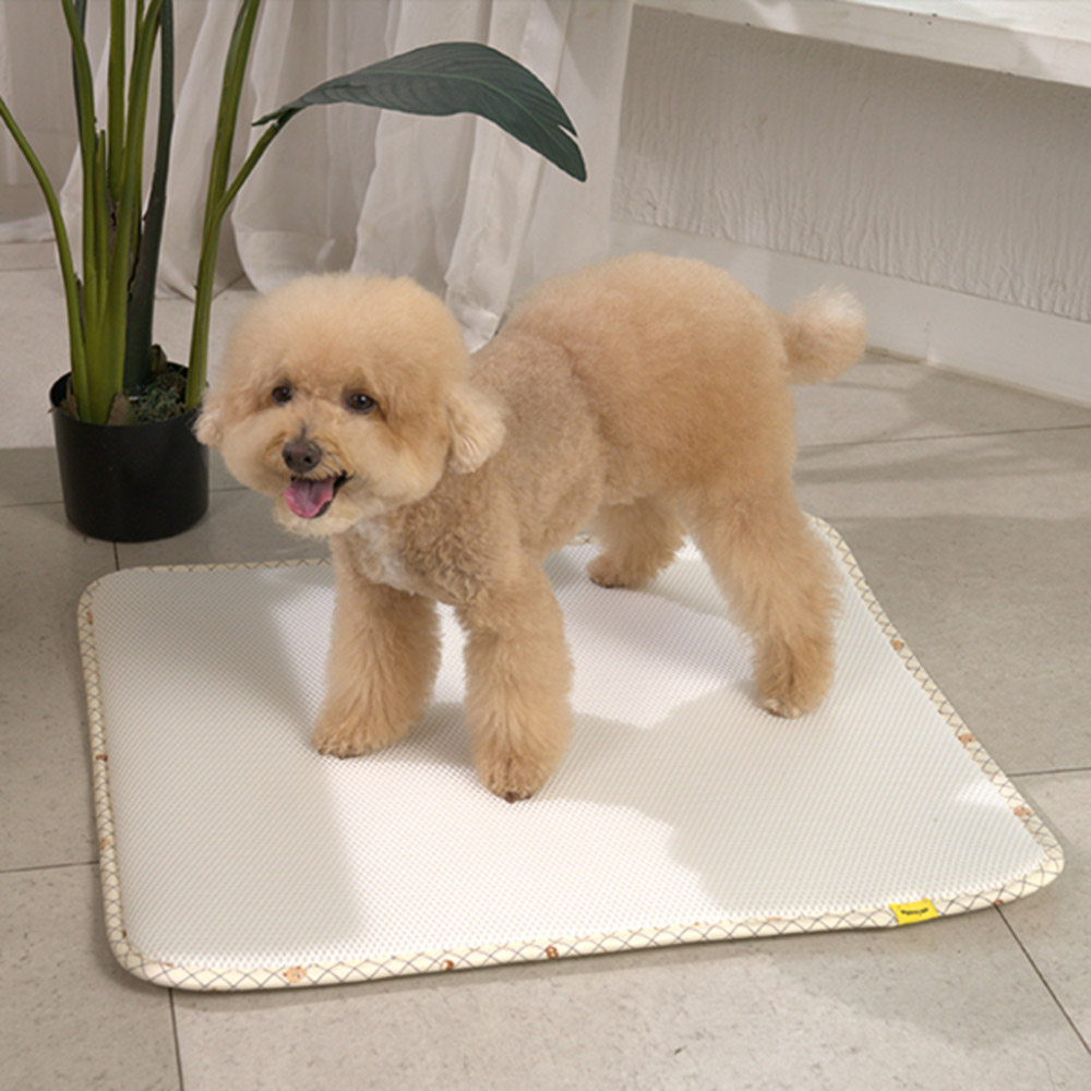 1765946180 thumbnail