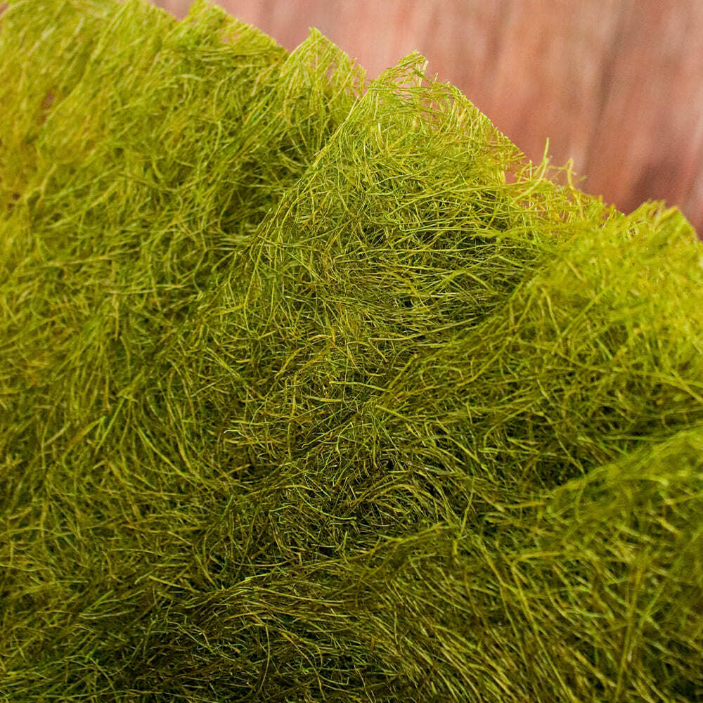 1765946223 thumbnail