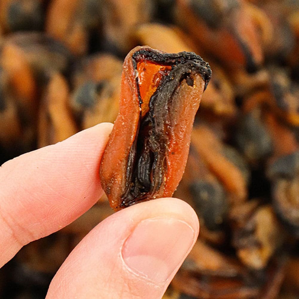 1765946225 thumbnail