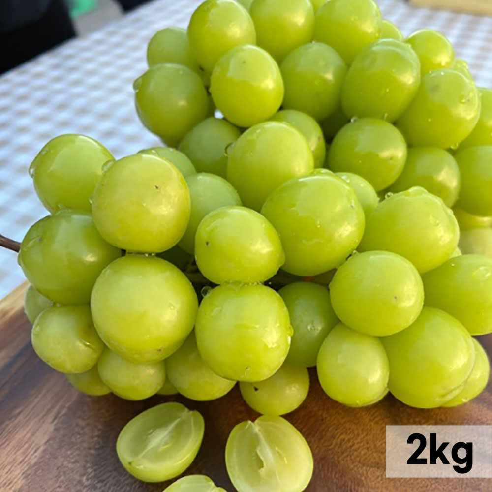 1766049529 thumbnail