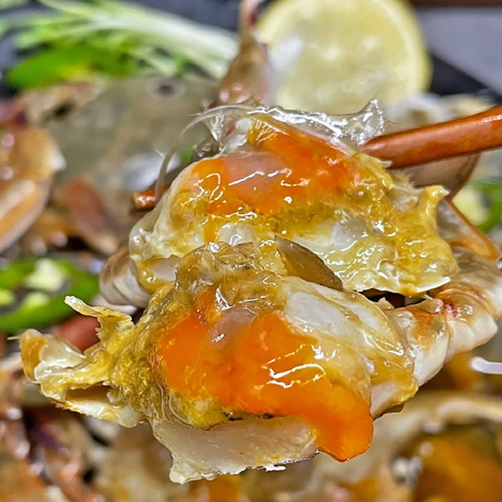 1766112805 thumbnail