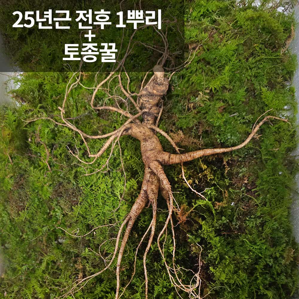 1766118747 thumbnail