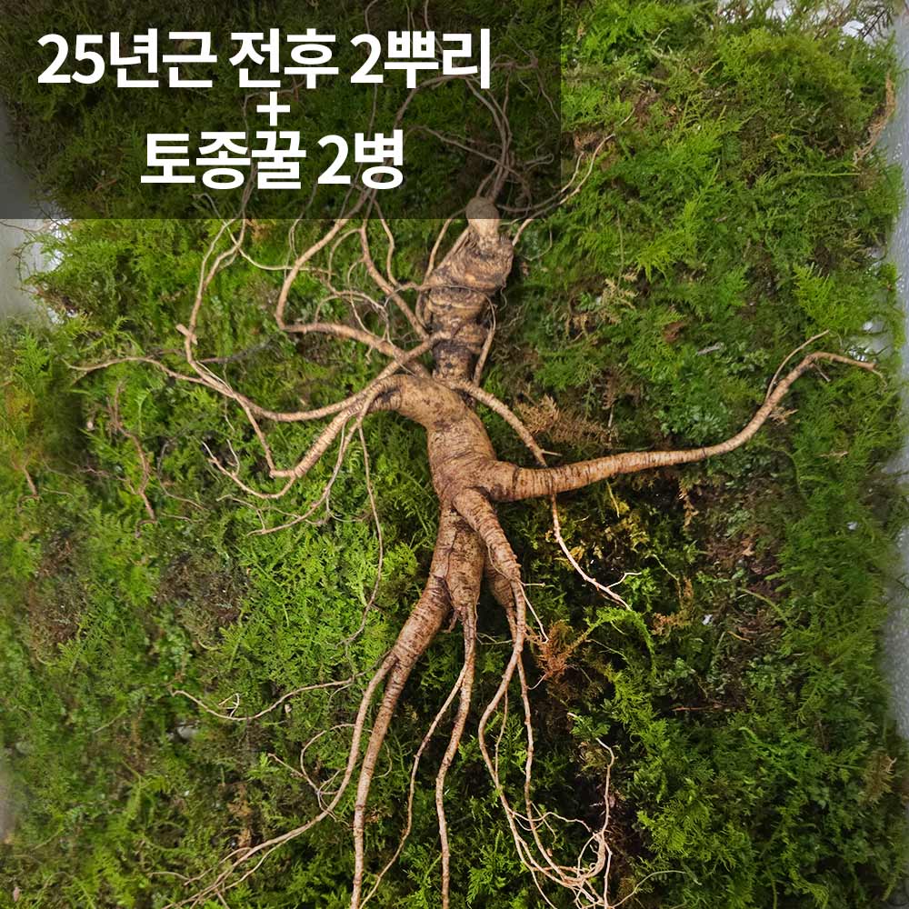 1766118748 thumbnail