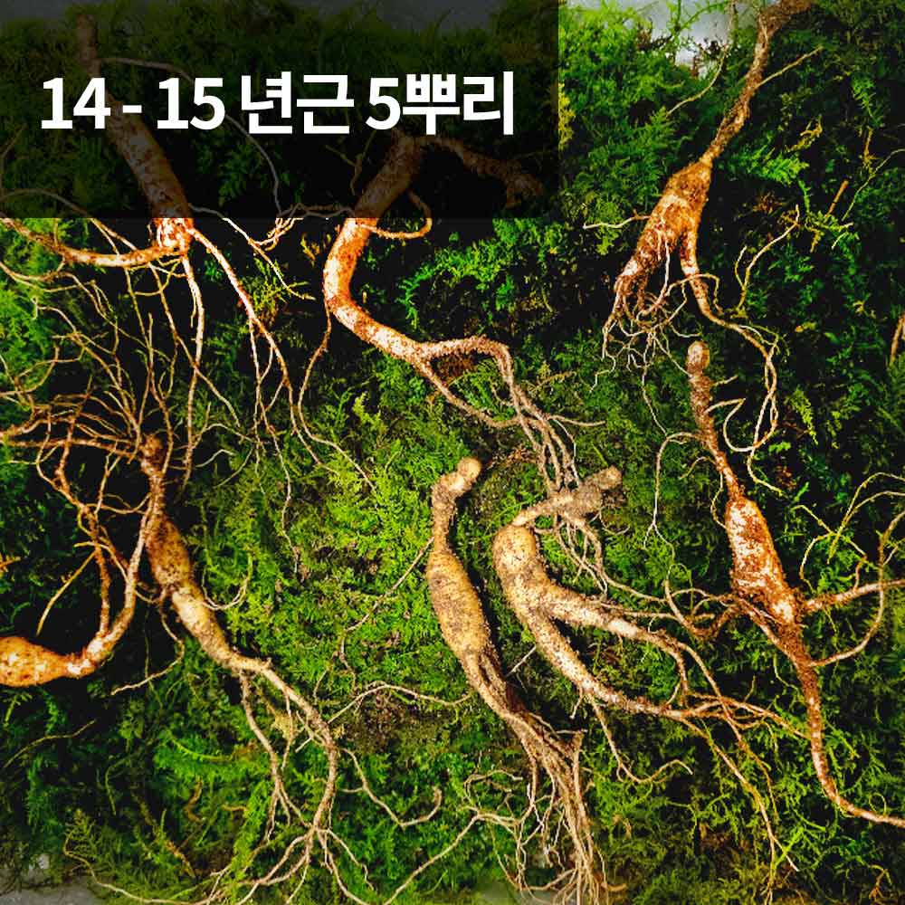 1766118749 thumbnail