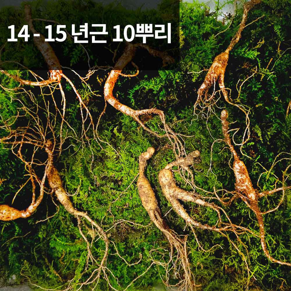 1766118750 thumbnail