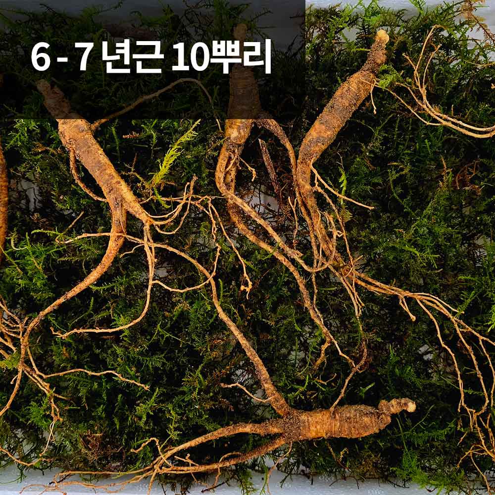 1766118752 thumbnail