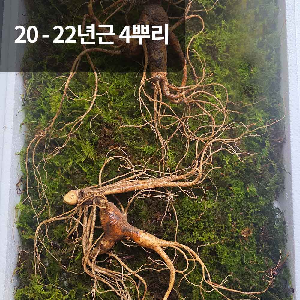 1766118754 thumbnail