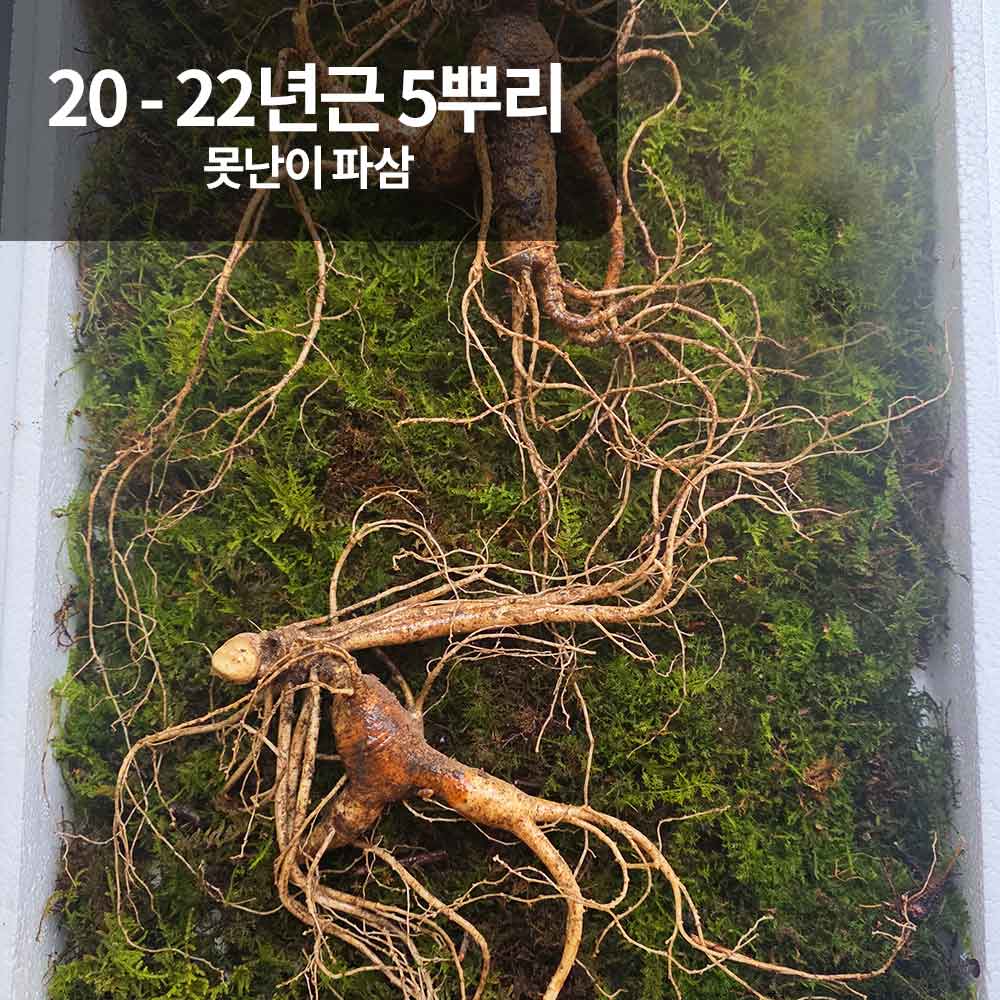 1766118755 thumbnail