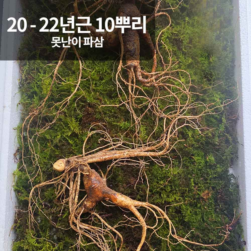 1766118756 thumbnail