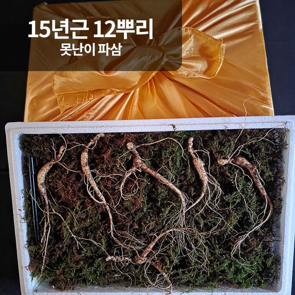 1766118760 thumbnail