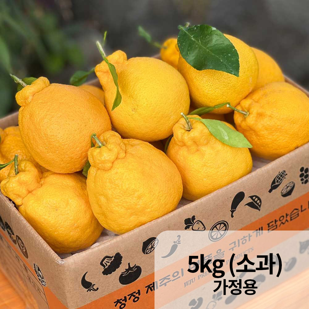 1766118772 thumbnail