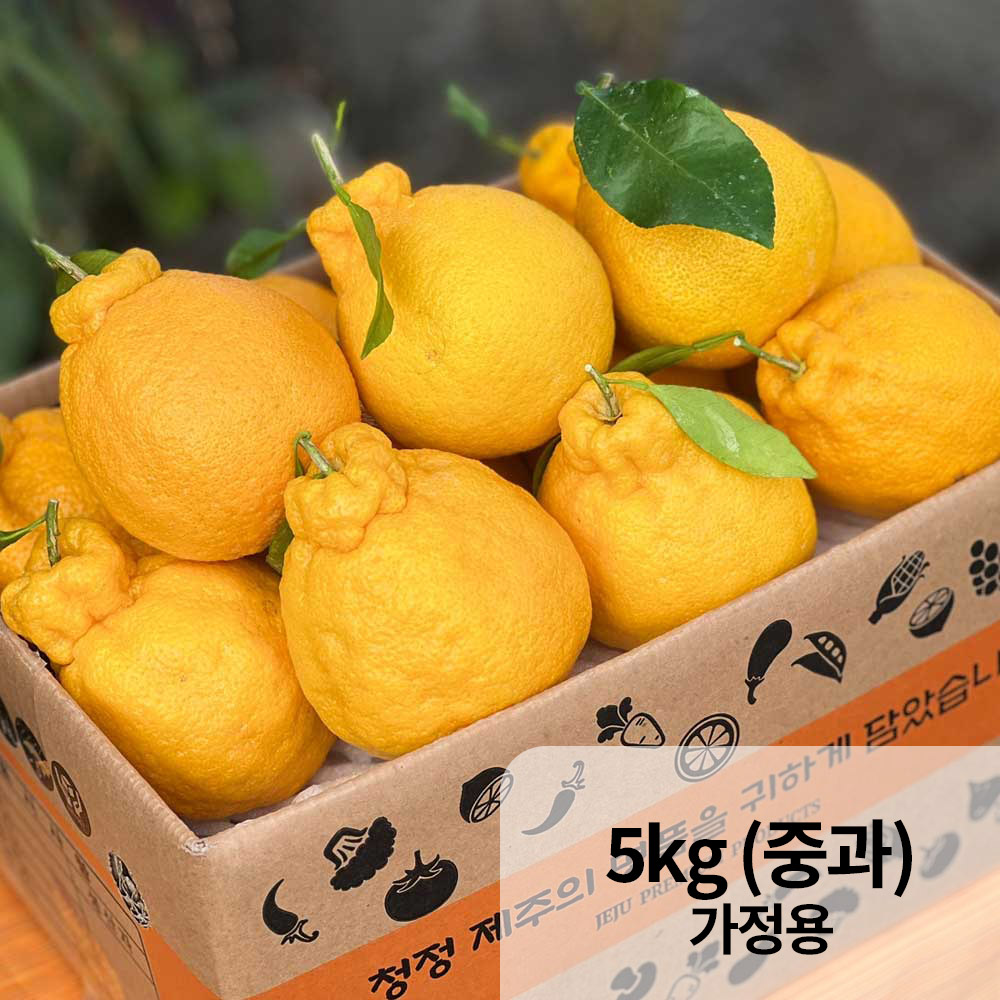 1766118773 thumbnail