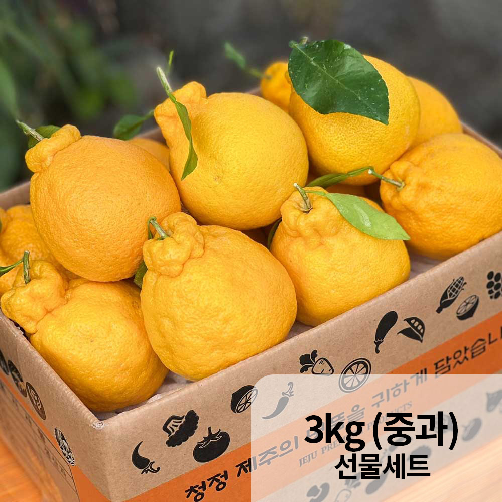 1766118774 thumbnail