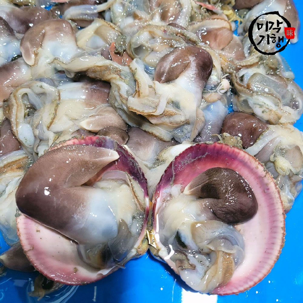 1766458213 thumbnail