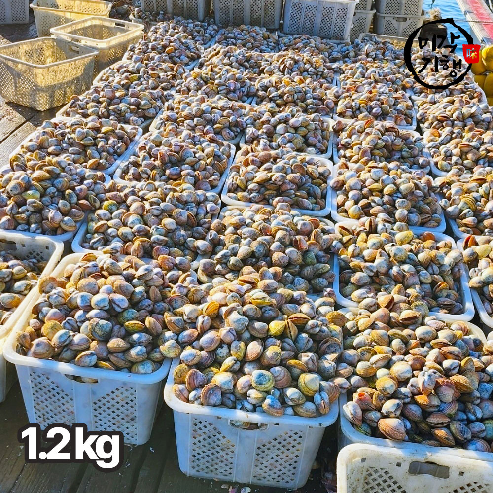 1766458215 thumbnail