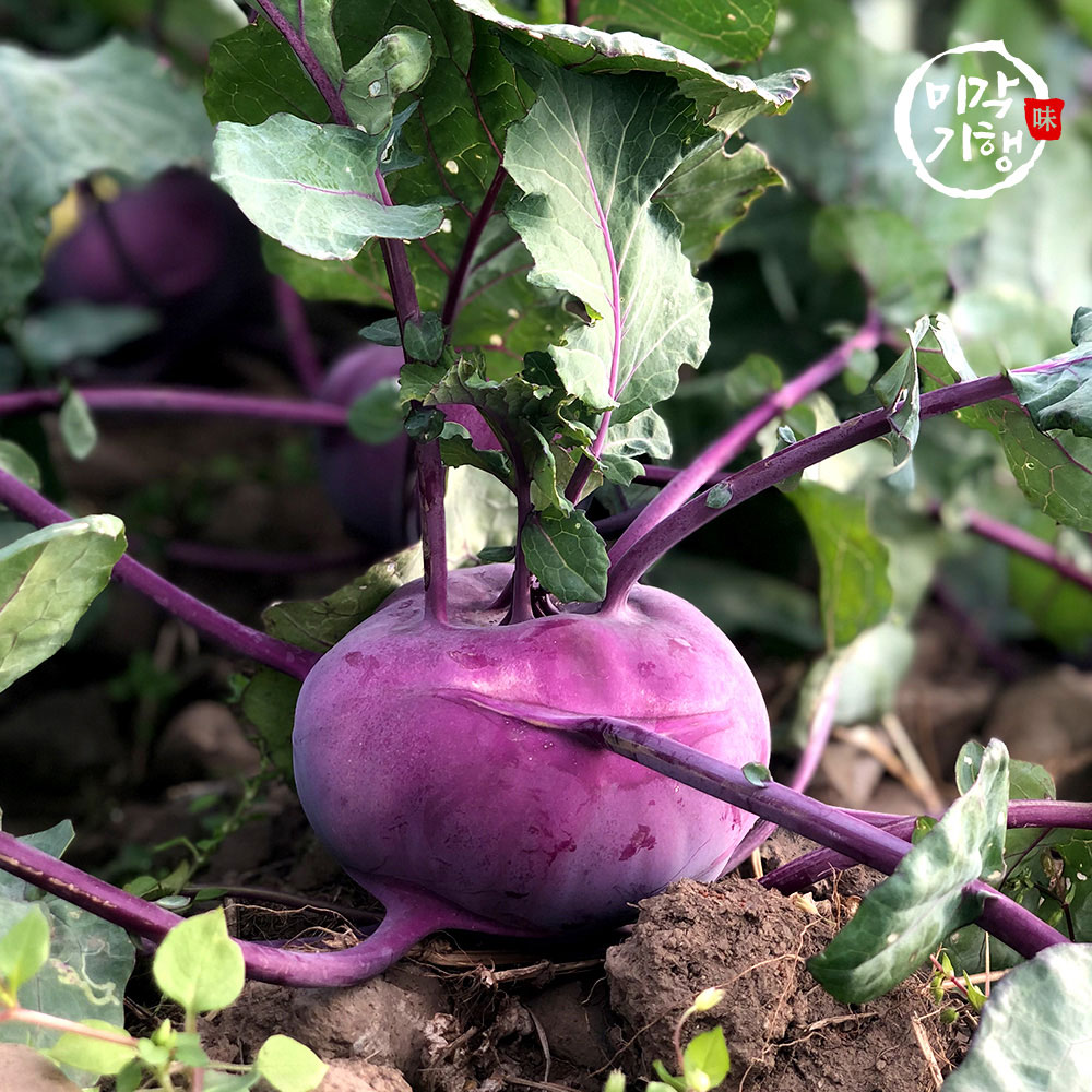 1766458216 thumbnail