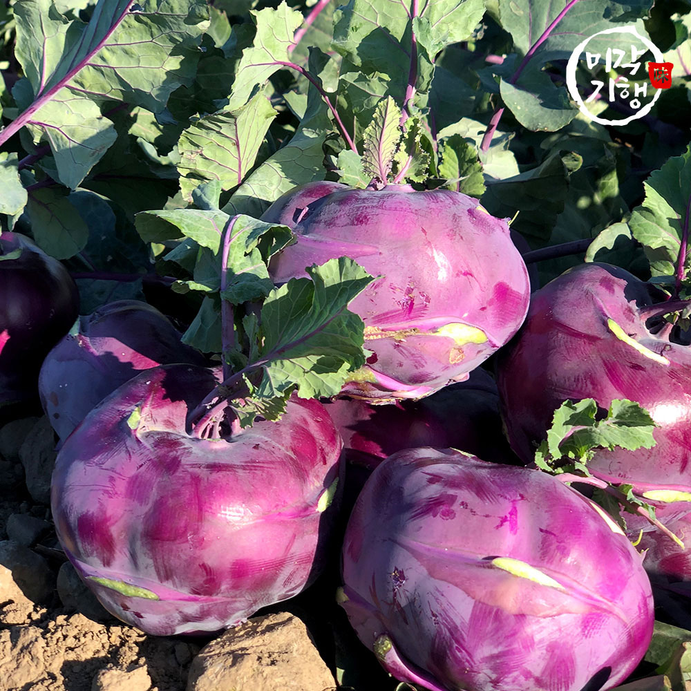 1766458218 thumbnail