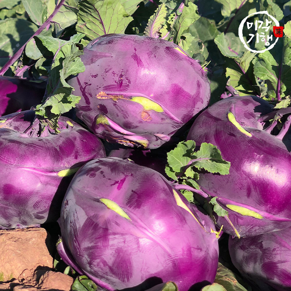 1766458219 thumbnail