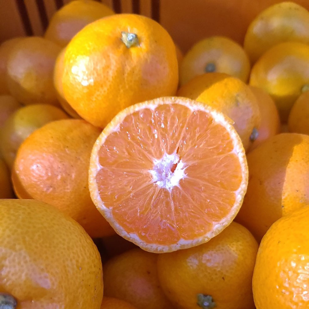 1766458222 thumbnail