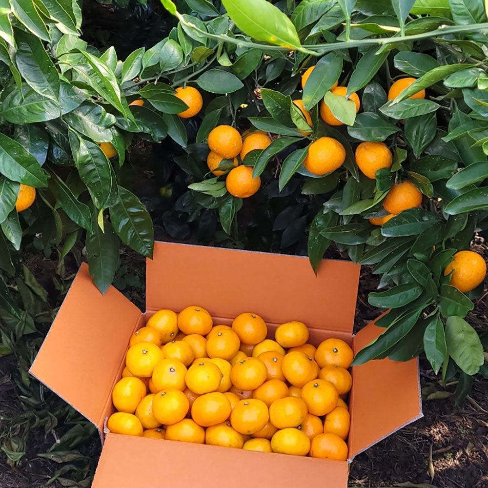 1766458224 thumbnail