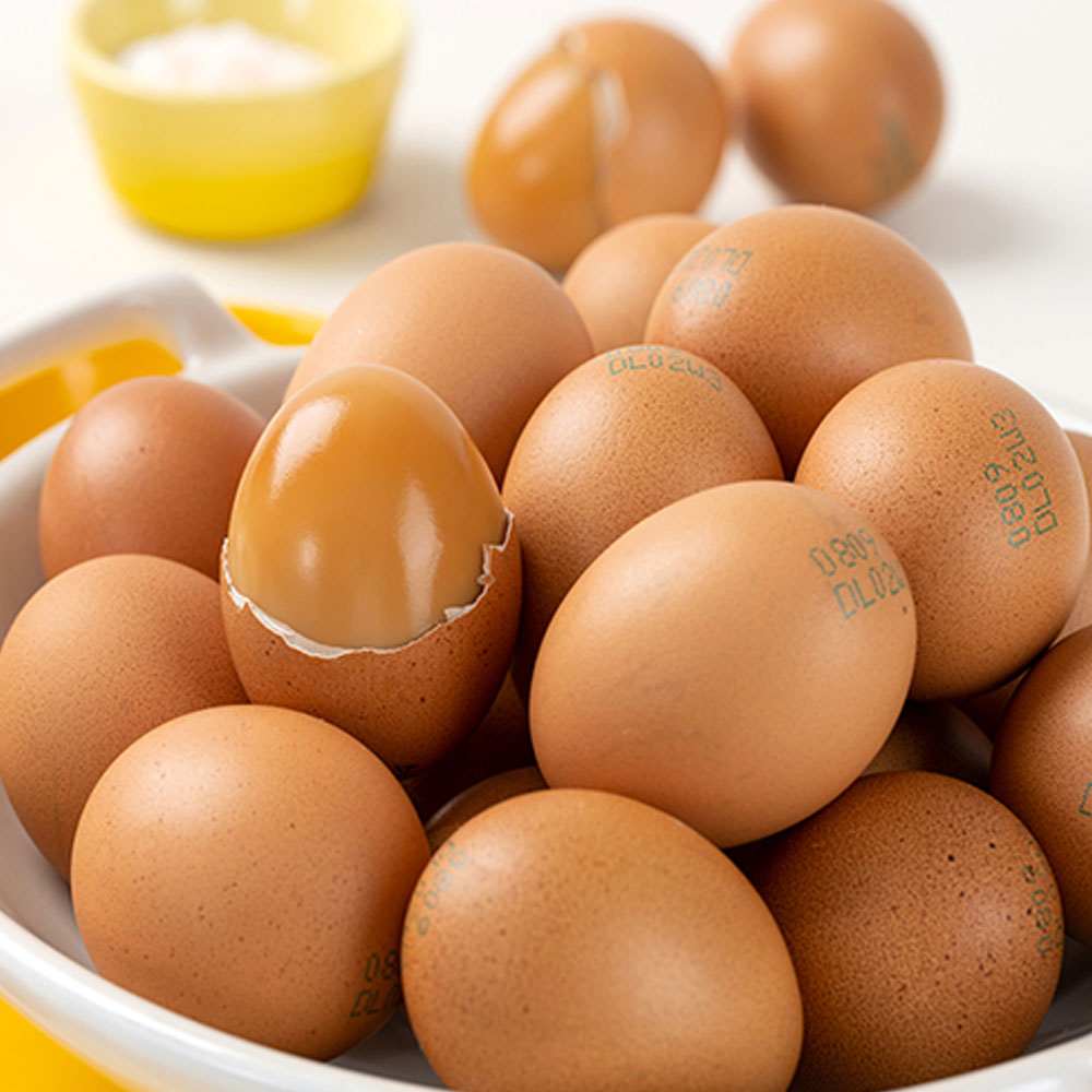 1766459644 thumbnail