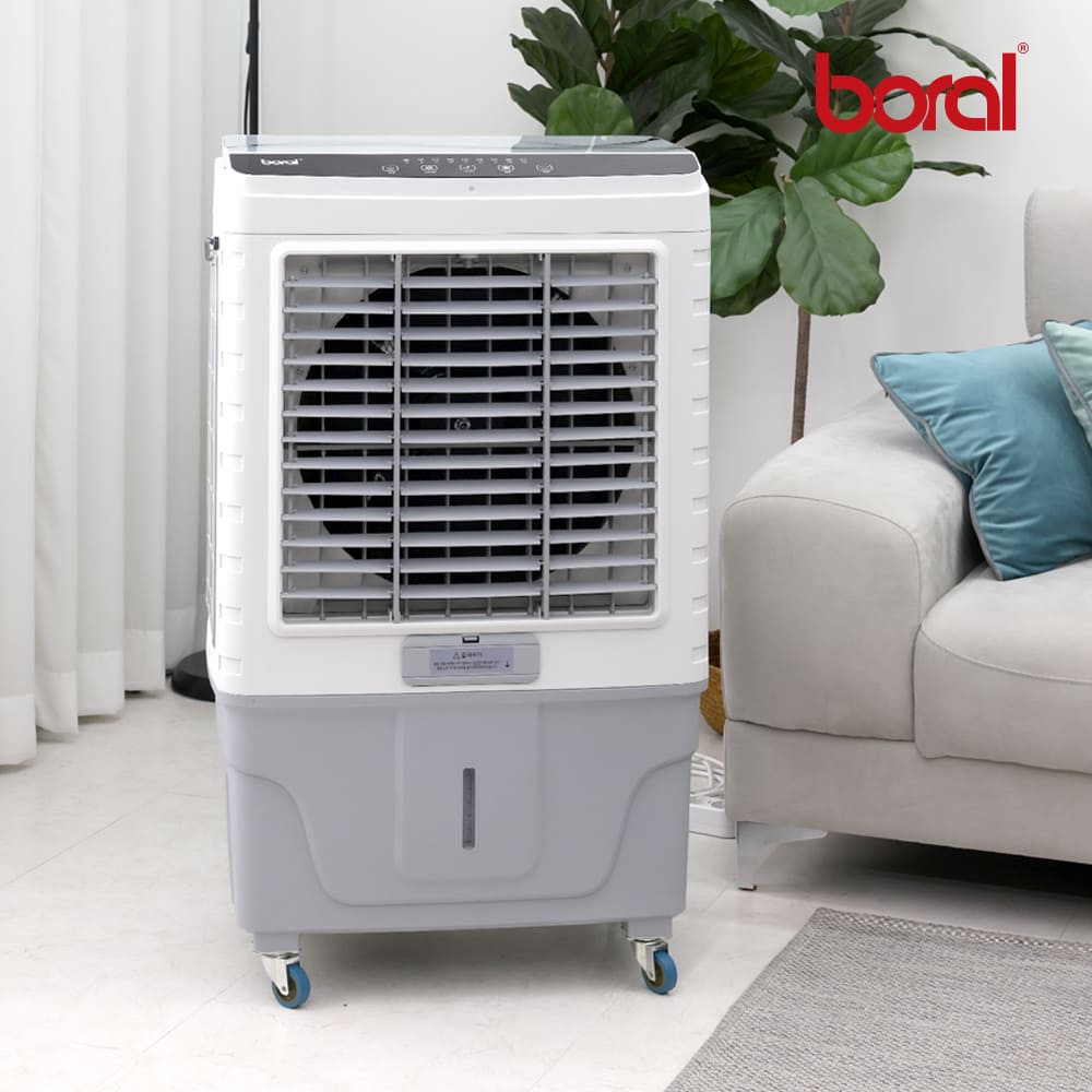 1766551836 thumbnail