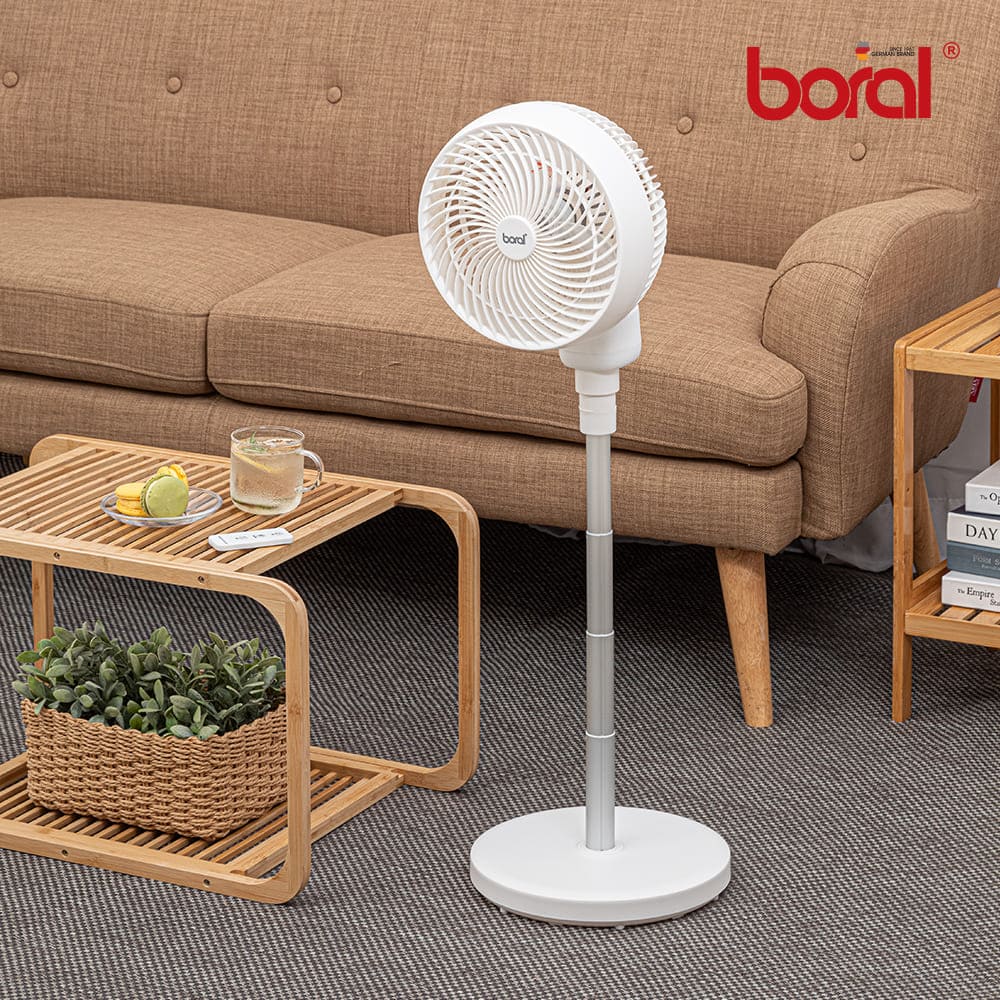 1766551837 thumbnail