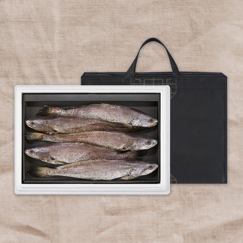 1766725576 thumbnail