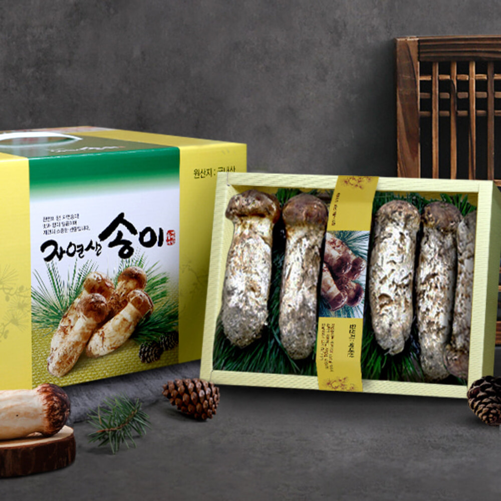 1767079913 thumbnail