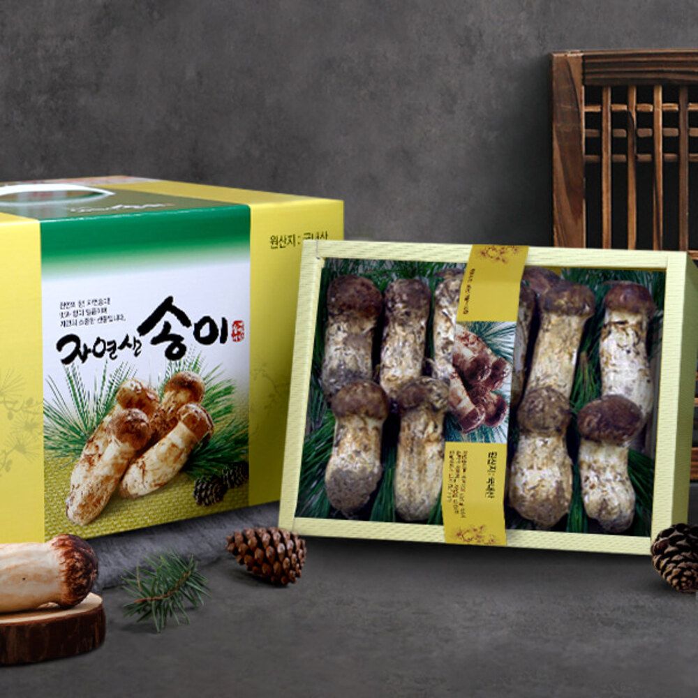 1767079915 thumbnail