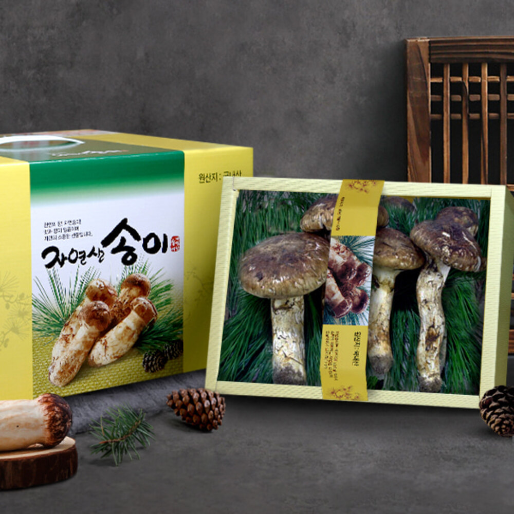 1767079916 thumbnail