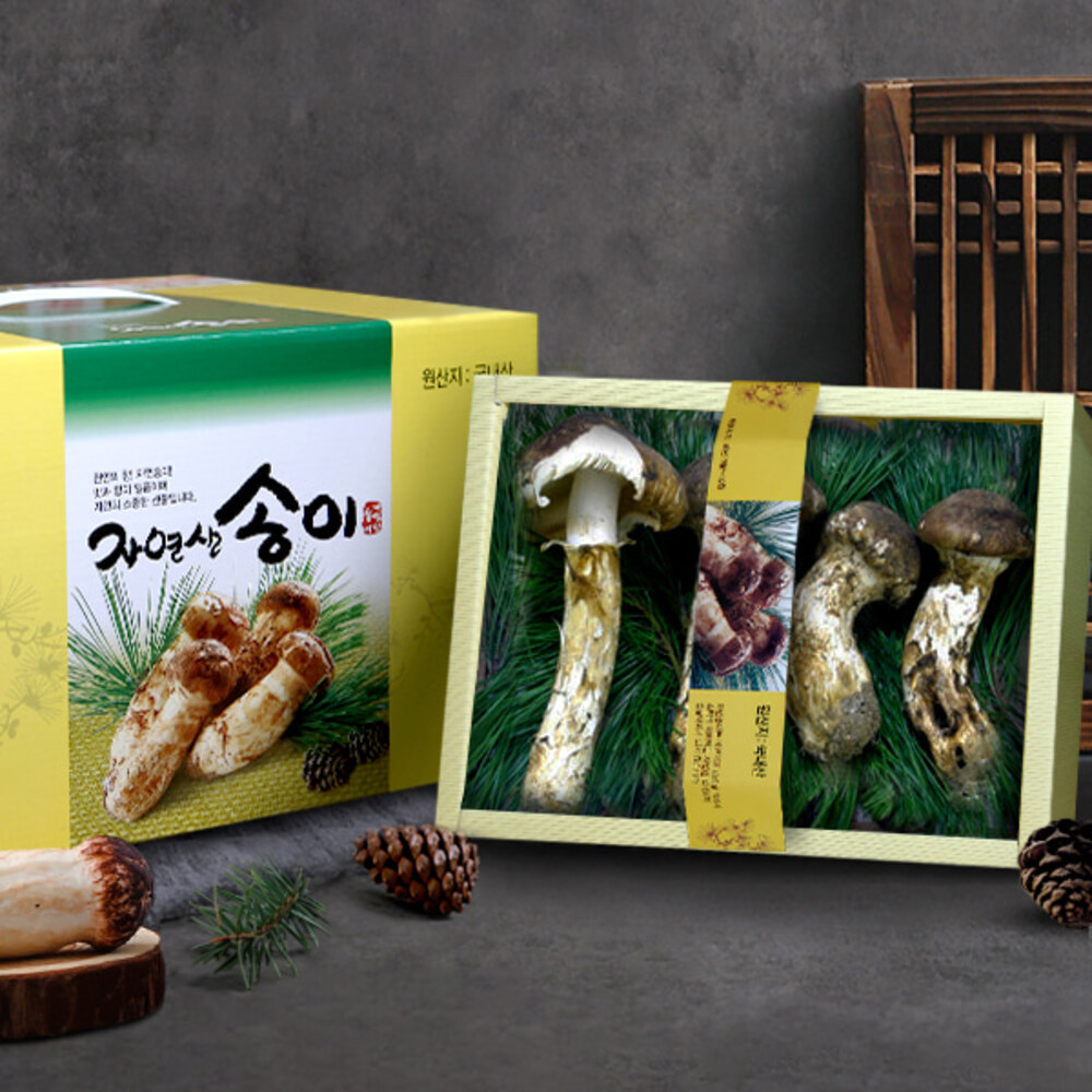 1767079917 thumbnail