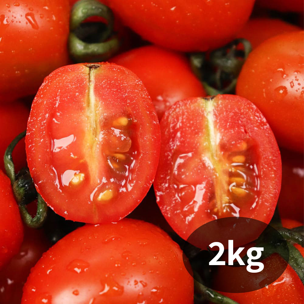 1767149029 thumbnail