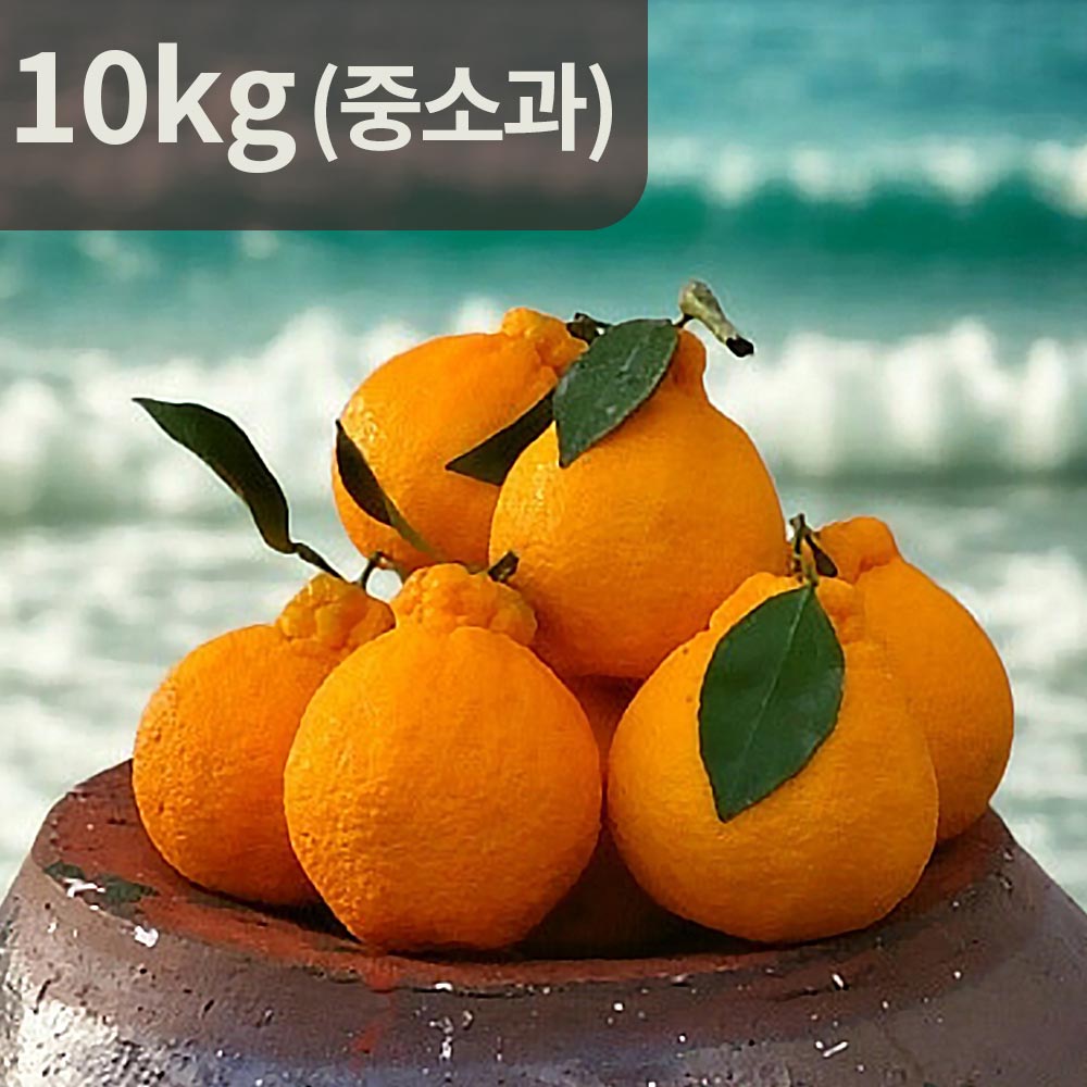 1767149093 thumbnail