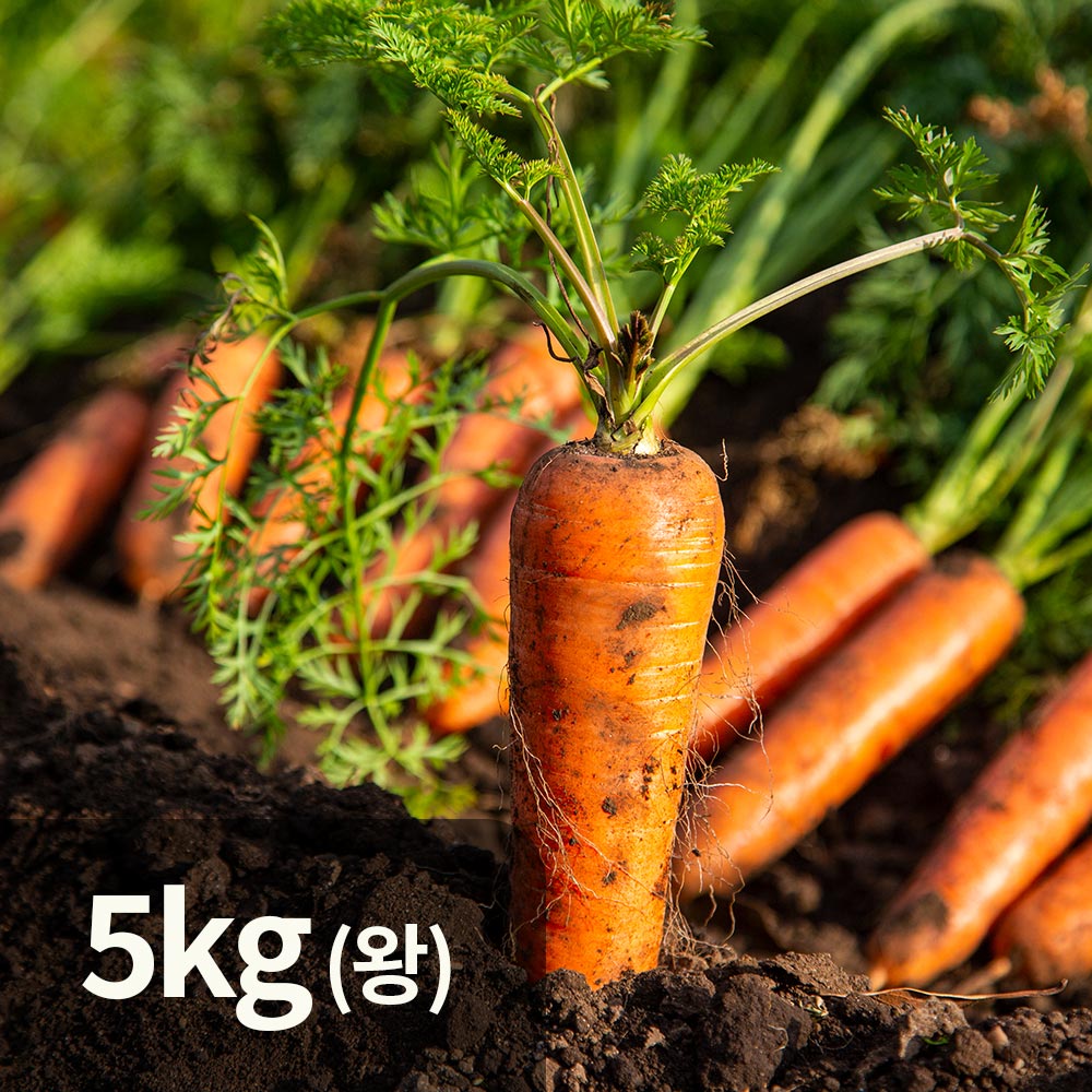 1767149115 thumbnail