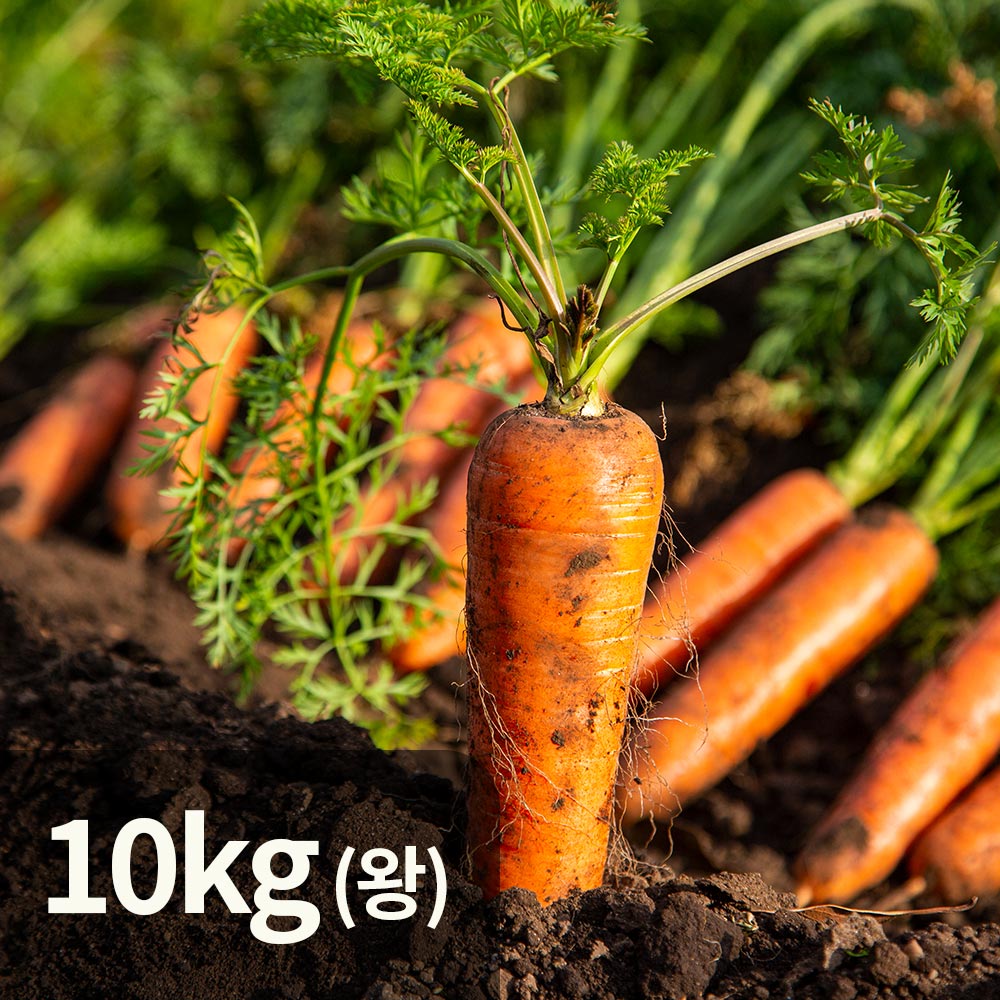 1767149119 thumbnail