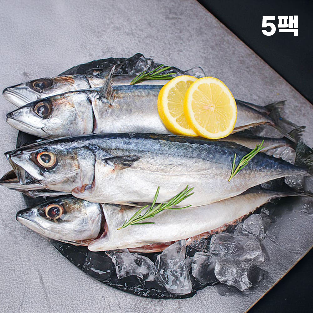 1767777538 thumbnail