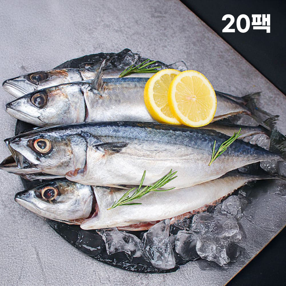 1767777540 thumbnail