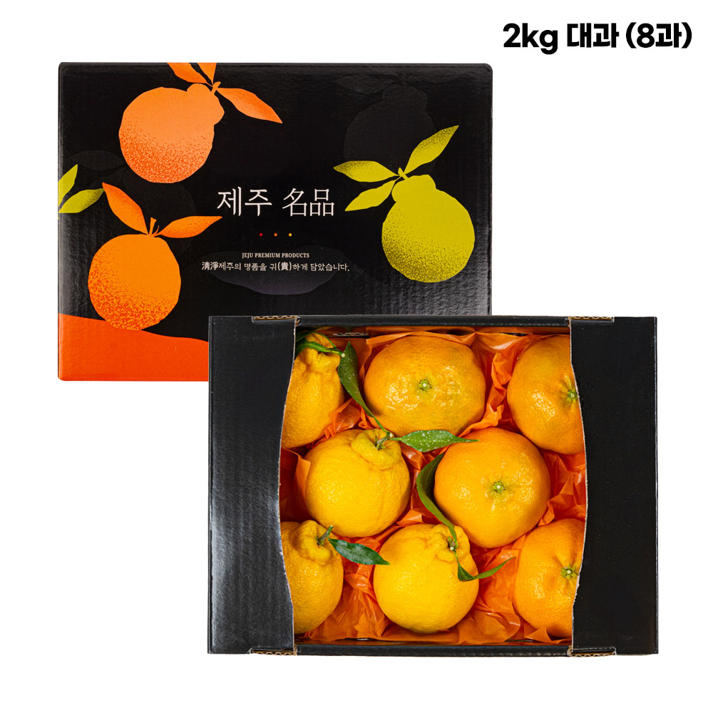 1768205950 thumbnail