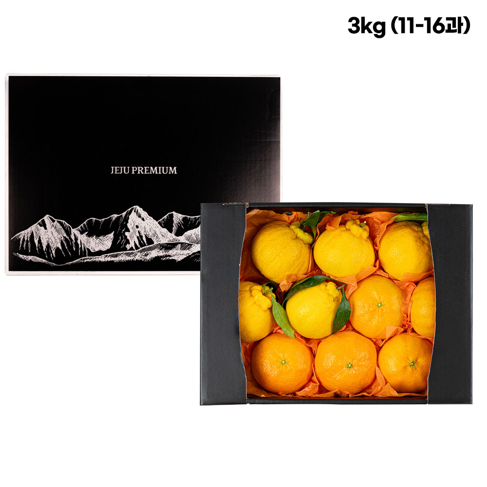 1768205951 thumbnail