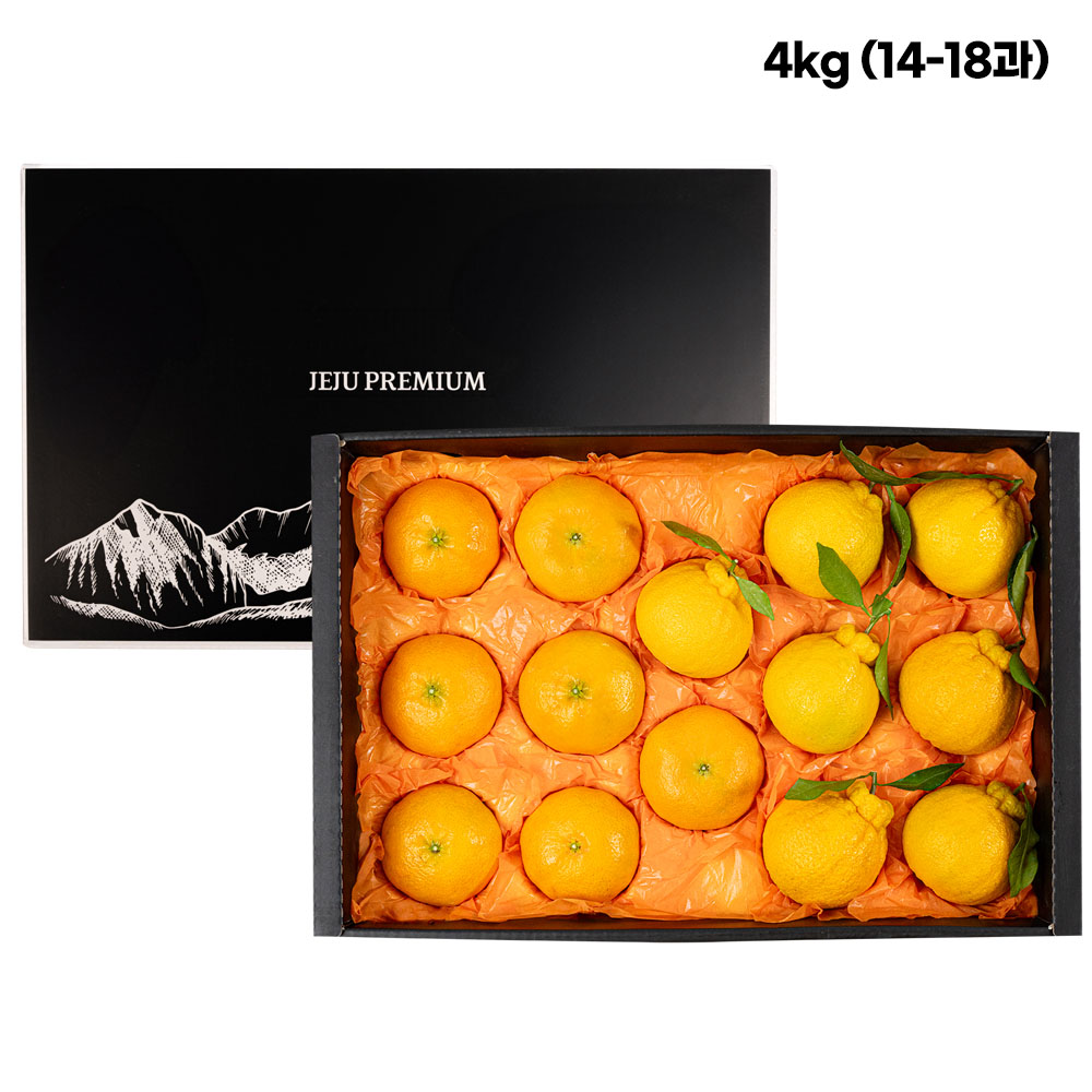 1768205952 thumbnail