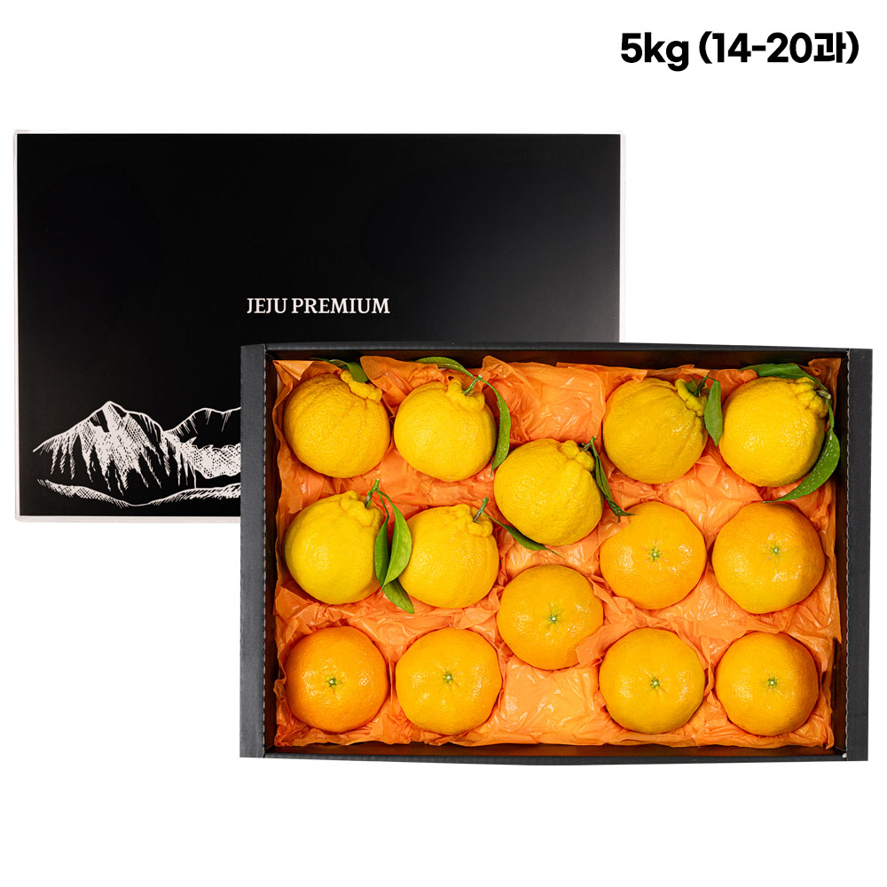 1768205953 thumbnail