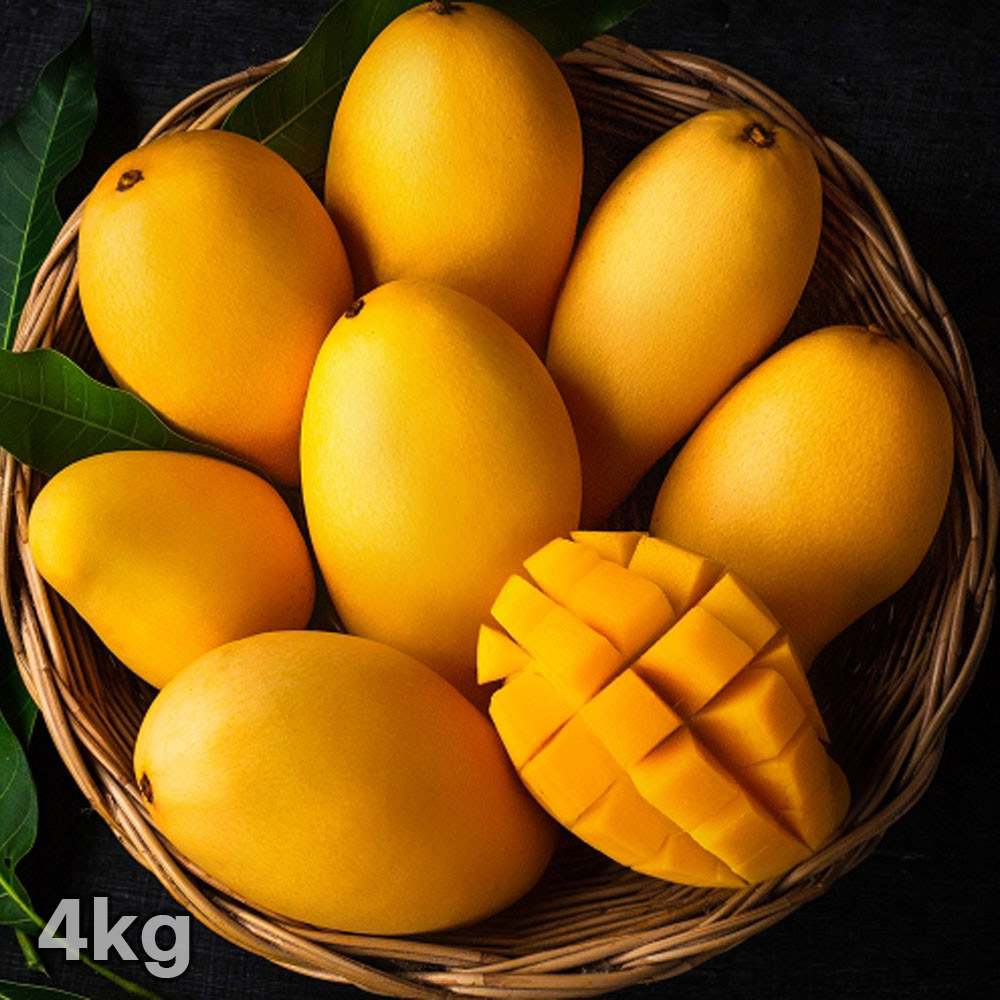 1768207631 thumbnail