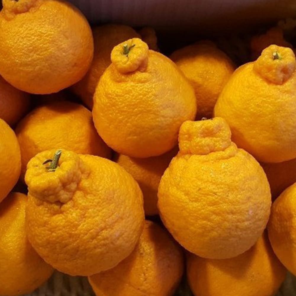 1768294110 thumbnail