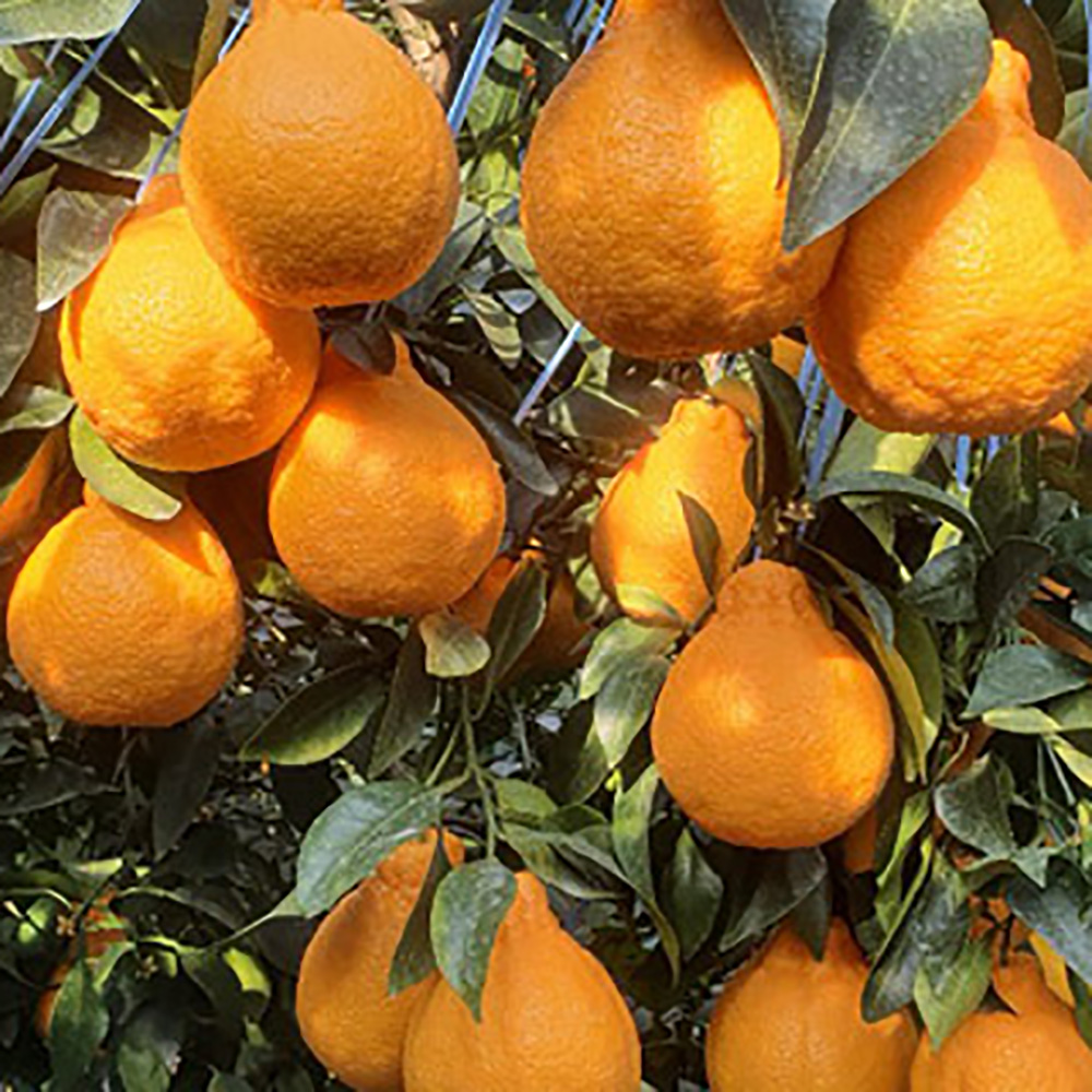 1768294113 thumbnail